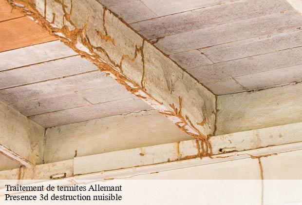 Traitement de termites allemant-51120 Presence 3d destruction nuisible