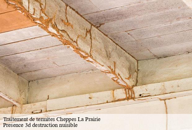 Traitement de termites cheppes-la-prairie-51240 Presence 3d destruction nuisible
