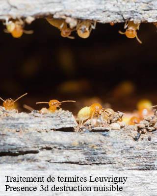 Traitement de termites leuvrigny-51700 Presence 3d destruction nuisible