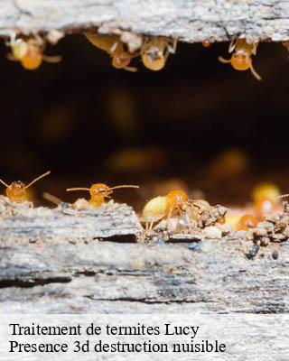 Traitement de termites lucy-51270 Presence 3d destruction nuisible
