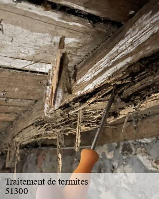 Traitement de termites maisons-en-champagne-51300 Presence 3d destruction nuisible