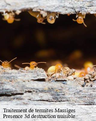 Traitement de termites massiges-51800 Presence 3d destruction nuisible