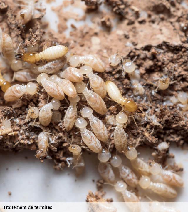 Traitement de termites mondement-montgivroux-51120 Presence 3d destruction nuisible