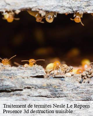 Traitement de termites nesle-le-repons-51700 Presence 3d destruction nuisible