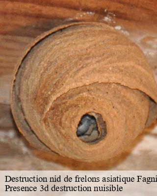 Destruction nid de frelons asiatique fagnieres-51510 Presence 3d destruction nuisible