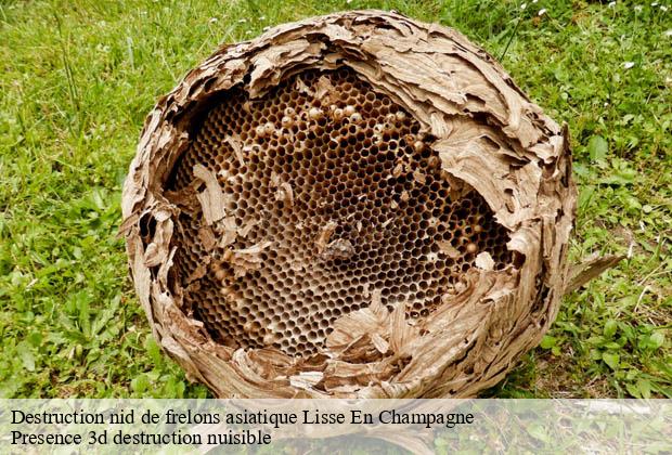 Destruction nid de frelons asiatique lisse-en-champagne-51300 Presence 3d destruction nuisible