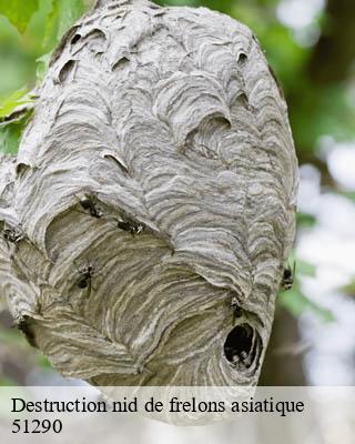 Destruction nid de frelons asiatique moncetz-l-abbaye-51290 Presence 3d destruction nuisible