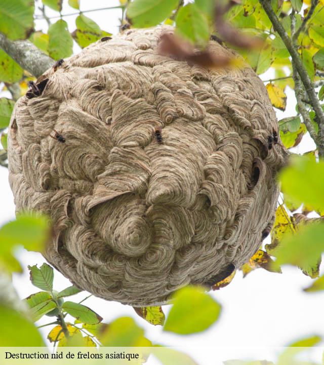 Destruction nid de frelons asiatique la-neuville-aux-bois-51330 Presence 3d destruction nuisible