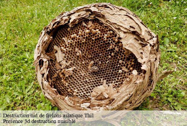 Destruction nid de frelons asiatique thil-51220 Presence 3d destruction nuisible