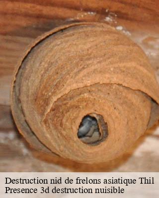 Destruction nid de frelons asiatique thil-51220 Presence 3d destruction nuisible