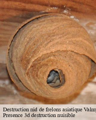 Destruction nid de frelons asiatique valmy-51800 Presence 3d destruction nuisible