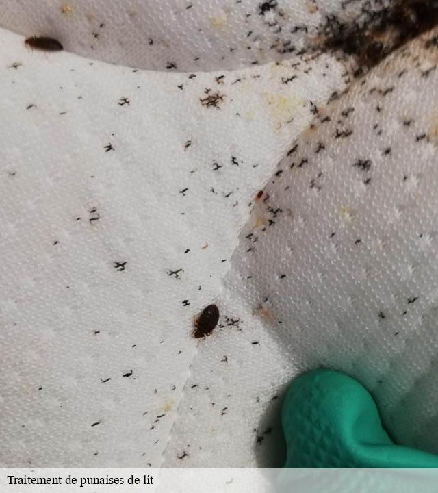 Traitement de punaises de lit bouy-51400 Presence 3d destruction nuisible