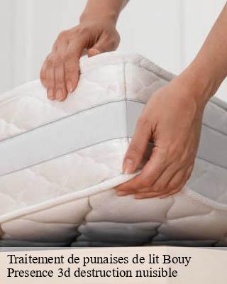 Traitement de punaises de lit bouy-51400 Presence 3d destruction nuisible