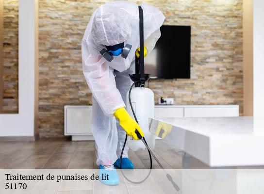 Traitement de punaises de lit fismes-51170 Presence 3d destruction nuisible