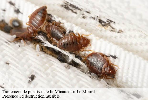 Traitement de punaises de lit minaucourt-le-mesnil-51800 Presence 3d destruction nuisible