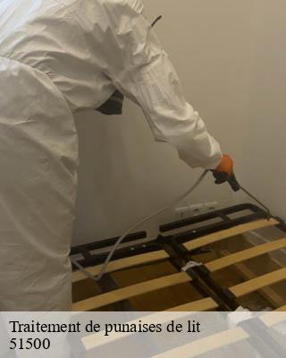 Traitement de punaises de lit sillery-51500 Presence 3d destruction nuisible