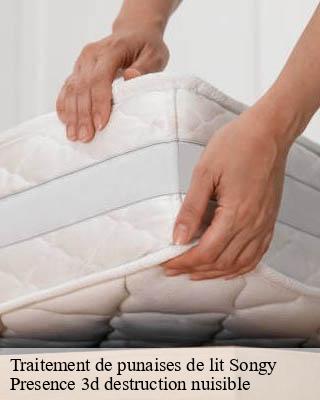 Traitement de punaises de lit songy-51240 Presence 3d destruction nuisible