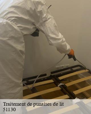 Traitement de punaises de lit toulon-la-montagne-51130 Presence 3d destruction nuisible