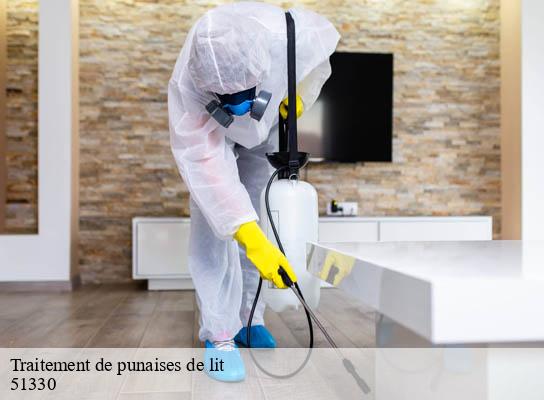 Traitement de punaises de lit vroil-51330 Presence 3d destruction nuisible