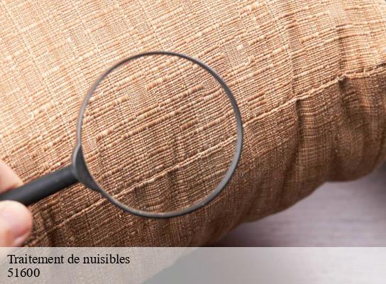 Traitement de nuisibles auberive-51600 Presence 3d destruction nuisible