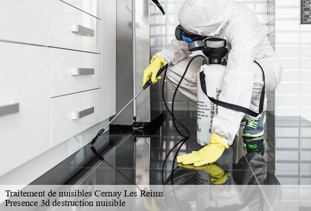 Traitement de nuisibles cernay-les-reims-51420 Presence 3d destruction nuisible