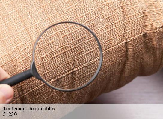 Traitement de nuisibles fere-champenoise-51230 Presence 3d destruction nuisible