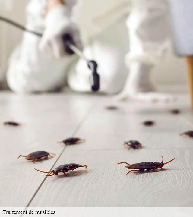 Traitement de nuisibles verneuil-51700 Presence 3d destruction nuisible