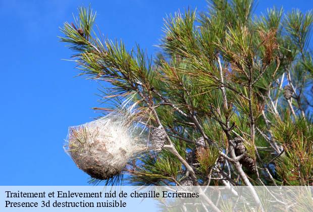 Traitement et Enlevement nid de chenille ecriennes-51300 Presence 3d destruction nuisible