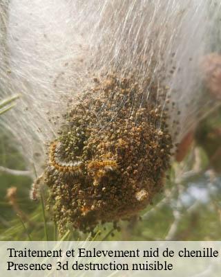 Traitement et Enlevement nid de chenille fontaine-sur-ay-51160 Presence 3d destruction nuisible