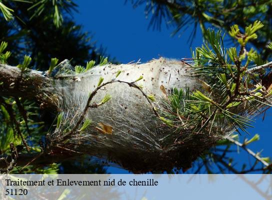 Traitement et Enlevement nid de chenille saint-loup-51120 Presence 3d destruction nuisible