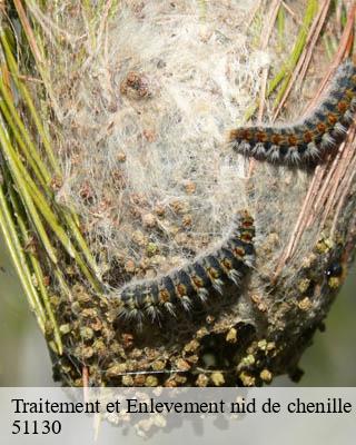 Traitement et Enlevement nid de chenille soulieres-51130 Presence 3d destruction nuisible