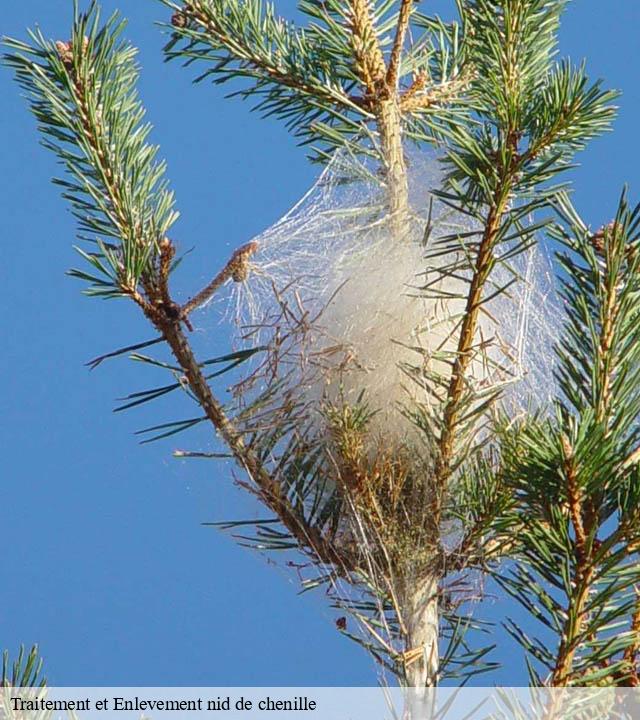 Traitement et Enlevement nid de chenille villeneuve-la-lionne-51310 Presence 3d destruction nuisible