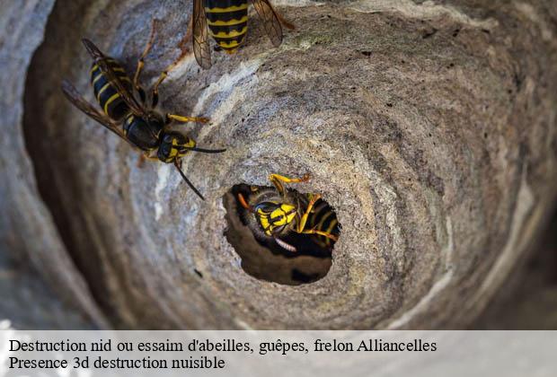 Destruction nid ou essaim d'abeilles, guêpes, frelon alliancelles-51250 Presence 3d destruction nuisible