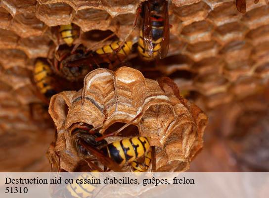 Destruction nid ou essaim d'abeilles, guêpes, frelon esternay-51310 Presence 3d destruction nuisible