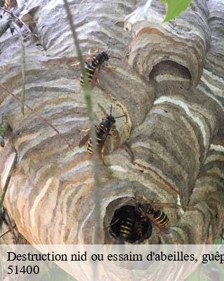 Destruction nid ou essaim d'abeilles, guêpes, frelon saint-hilaire-au-temple-51400 Presence 3d destruction nuisible