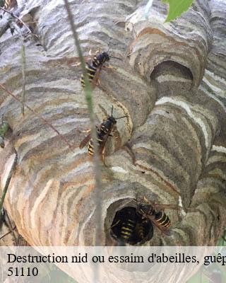 Destruction nid ou essaim d'abeilles, guêpes, frelon warmeriville-51110 Presence 3d destruction nuisible