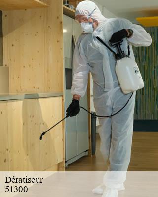 Dératiseur loisy-sur-marne-51300 Presence 3d destruction nuisible