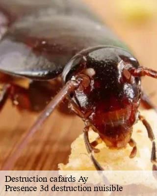 Destruction cafards ay-51160 Presence 3d destruction nuisible