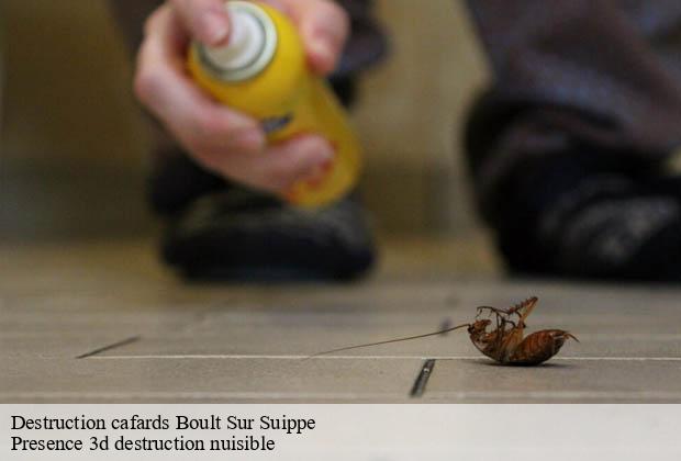 Destruction cafards boult-sur-suippe-51110 Presence 3d destruction nuisible
