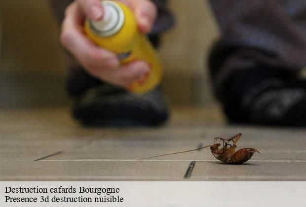 Destruction cafards bourgogne-51110 Presence 3d destruction nuisible