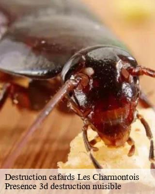 Destruction cafards les-charmontois-51330 Presence 3d destruction nuisible