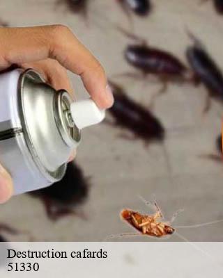 Destruction cafards les-charmontois-51330 Presence 3d destruction nuisible