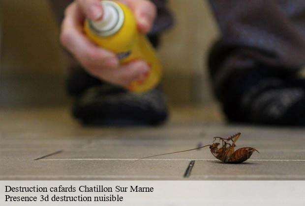 Destruction cafards chatillon-sur-marne-51700 Presence 3d destruction nuisible