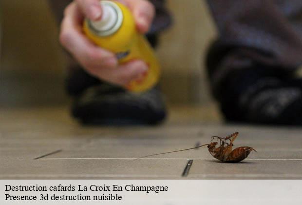 Destruction cafards la-croix-en-champagne-51600 Presence 3d destruction nuisible