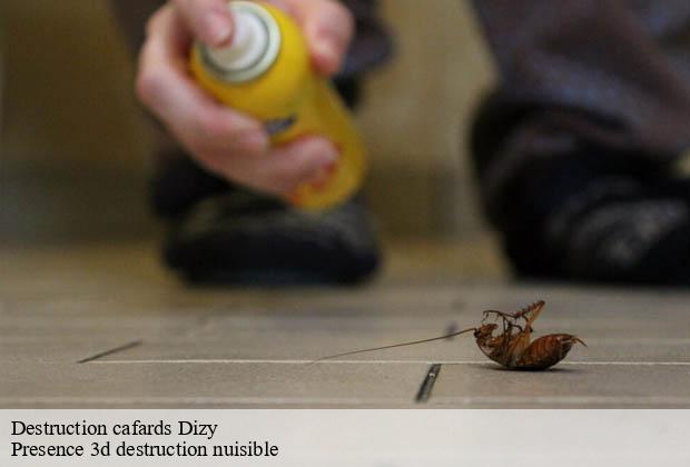 Destruction cafards dizy-51200 Presence 3d destruction nuisible