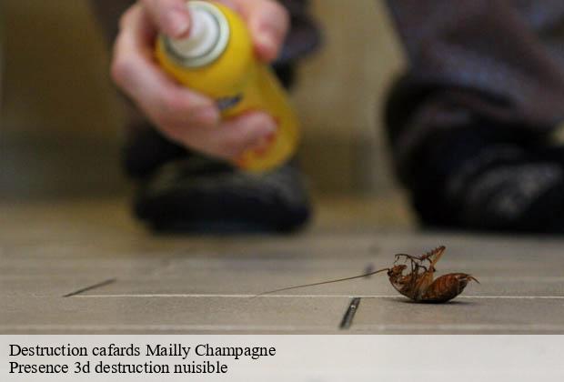 Destruction cafards mailly-champagne-51500 Presence 3d destruction nuisible