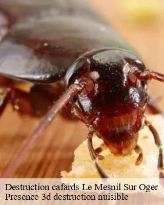 Destruction cafards le-mesnil-sur-oger-51190 Presence 3d destruction nuisible