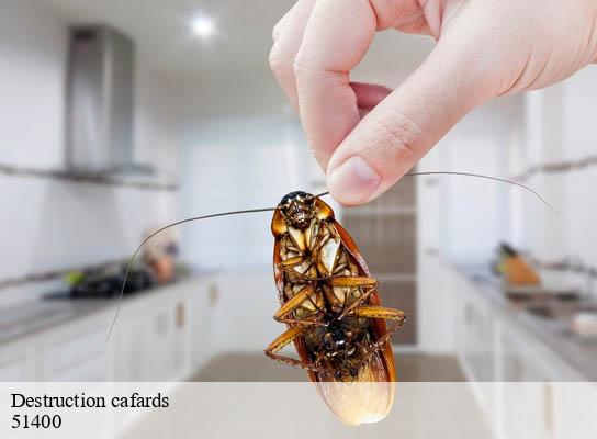 Destruction cafards les-petites-loges-51400 Presence 3d destruction nuisible