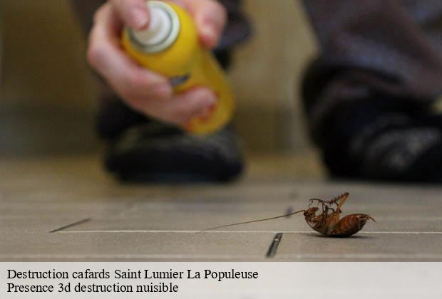 Destruction cafards saint-lumier-la-populeuse-51340 Presence 3d destruction nuisible