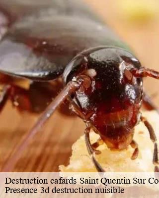 Destruction cafards saint-quentin-sur-coole-51240 Presence 3d destruction nuisible